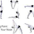 반다요가 이미지