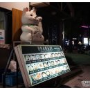 수원-0383 이미지