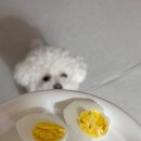 재영농장 이미지