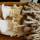 통큰식당 이미지