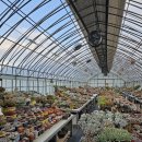 부영다육농장 이미지