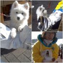 상우(아) 이미지