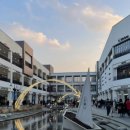 현대애견 이미지