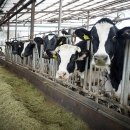 온새미로목장 이미지