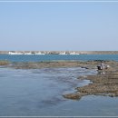 바다스케치 이미지