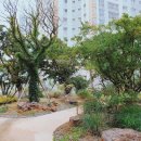 평택힐스테이트 2차 아파트 이미지