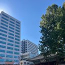 산울림어린이공원 | 서울 무료 전시 추천¶덕수궁 돈덕전 - 미키 in 덕수궁:아트, 경계를 넘어서, 국립현대미술관 덕수궁...