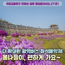 광역코스 이미지
