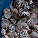 영만농장 이미지