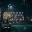 2024.07.05 아침인사~행복한 중년-아람드리 IN 글 퍼옴 이미지