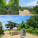 [정운산악회 제220차 정기산행] 경기도 가평군/양평군 유명산(有明山,862M)-2025년07월05일(토) 산행 이미지