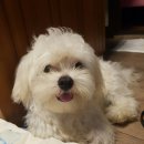 남광주역 6번출구 앞 이미지