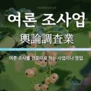 시장 조사 및 여론 조사업