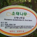 새오름 이미지