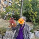 사회통합프로그램 주간 3단계 | 🌳일산주간보호센터 통합 재가 연계 프로그램 치매 어르신 야외 인지활동 후기