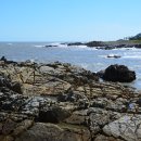 거북호텔 이미지