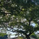 덕이민박 이미지