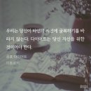 쩡이네 - 서구 | 쩡이네