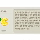 아로 이미지