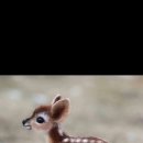 세븐일레븐신천본점 이미지