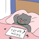 영철이네 이미지