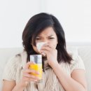 화양초교 이미지