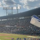 218 | 잠실 야구장 3루 블루석 218블럭 1열 시야방해석 시야 후기