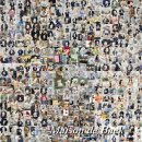 메스메디칼 | 초초초초미니비숑 &#34;메스&#34;왕자님을 소개해요 ㅣ 초미니비숑 전문