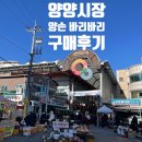 시장이용소 티스토리