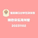 엘르산부인과의원 이미지