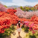 꽃동산어린이공원-1 | 전주 한옥마을 옆 '비밀의 정원', 완산칠봉 꽃동산 100% 즐기기