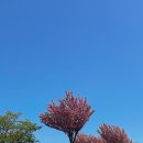 [더 투어앤] 중국 웨이하이(위해) 골프여행 후기 ! (내돈내산)