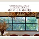 세화리움 이미지