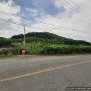 안천농장 이미지