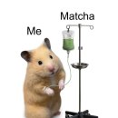 킹콩부대찌게산정점 | 11월