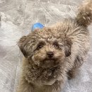 서진동물병원 이미지