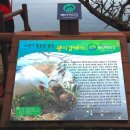 등대길26 이미지