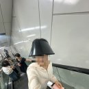 2026 궁디팡팡 캣페스타 후기