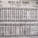 혜-드리