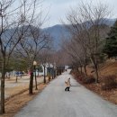 가래골농원 캠핑장2 이미지