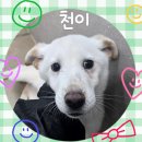천이랑