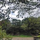 울주 대곡리 반구대 암각화 이미지