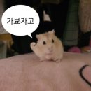 옐로우팜광주 이미지