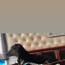 자인계정숲 이미지