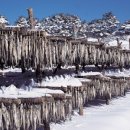 왕가수라청 이미지