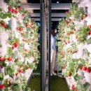 형태농장 이미지