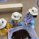 신금초등학교 병설 이미지