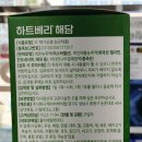 해담약국 네이버블로그