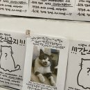 샵스테이 이미지