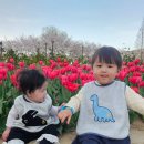 연지공원(놀이터) 이미지